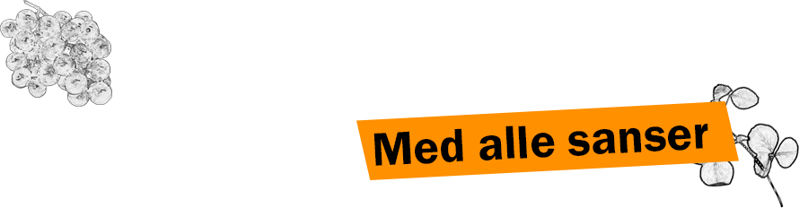 SmagSilkeborg
